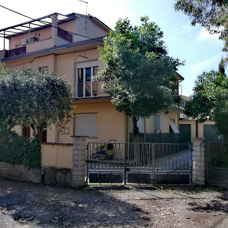 Il Merlo Πίζα Εξωτερικό φωτογραφία